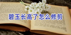 碧玉长高了怎么修剪