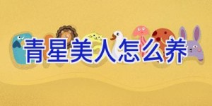 青星美人怎么养