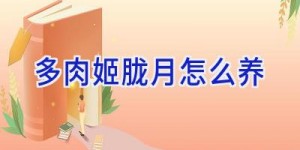 多肉姬胧月怎么养