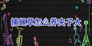捕蝇草怎么养夹子大