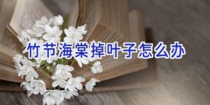 竹节海棠掉叶子怎么办