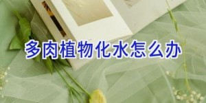多肉植物化水怎么办