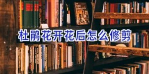 杜鹃花开花后怎么修剪