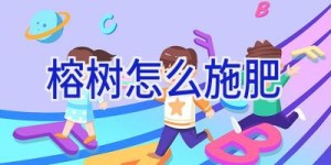 榕树怎么施肥