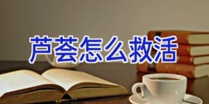 芦荟怎么救活