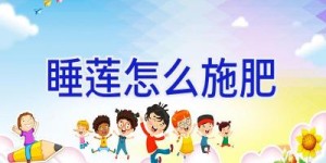 睡莲怎么施肥