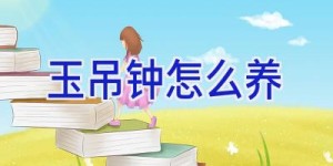 玉吊钟怎么养