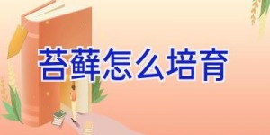 苔藓怎么培育