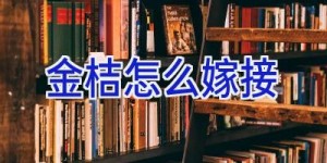 金桔怎么嫁接