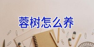 蓉树怎么养