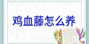 鸡血藤怎么养