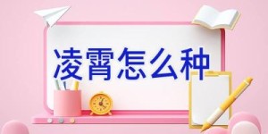 凌霄怎么种