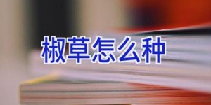 椒草怎么种
