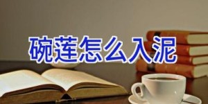 碗莲怎么入泥