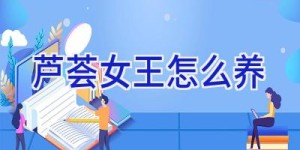 芦荟女王怎么养