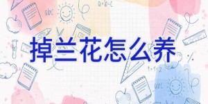 掉兰花怎么养
