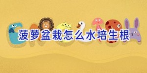 菠萝盆栽怎么水培生根