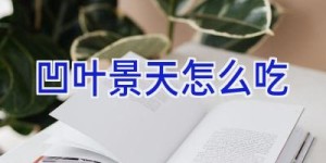 凹叶景天怎么吃