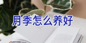 月季怎么养好