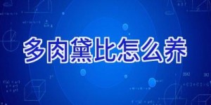 多肉黛比怎么养
