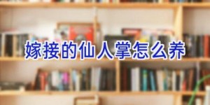 嫁接的仙人掌怎么养