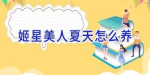 姬星美人夏天怎么养