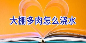 大棚多肉怎么浇水
