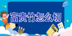 富贵竹怎么切