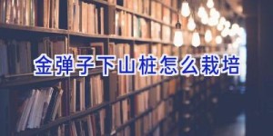 金弹子下山桩怎么栽培