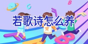 若歌诗怎么养