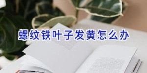 螺纹铁叶子发黄怎么办