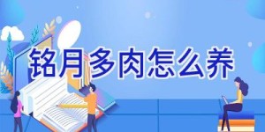 铭月多肉怎么养