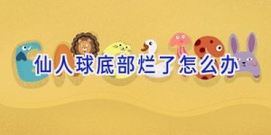 仙人球底部烂了怎么办