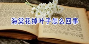 海棠花掉叶子怎么回事