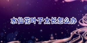 水仙花叶子太长怎么办