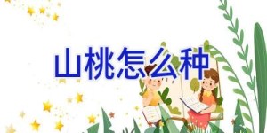 山桃怎么种