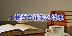 土栽百合花怎么浇水