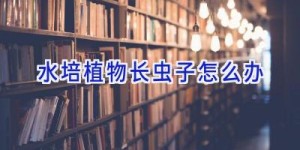 水培植物长虫子怎么办