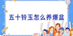 五十铃玉怎么养爆盆