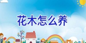 花木怎么养