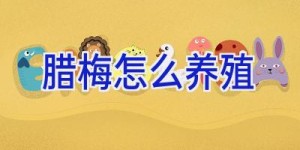 腊梅怎么养殖