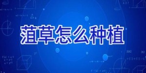 菹草怎么种植