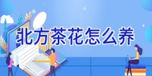 北方茶花怎么养