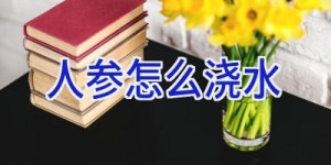 人参怎么浇水