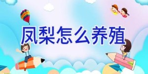 凤梨怎么养殖