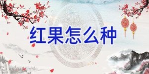 红果怎么种