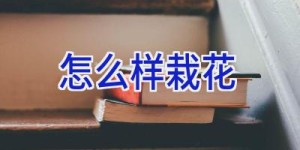 怎么样栽花