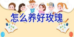 怎么养好玫瑰
