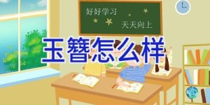 玉簪怎么样