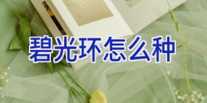 碧光环怎么种